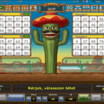 A Crazy Cactus Bingó nevű játék
